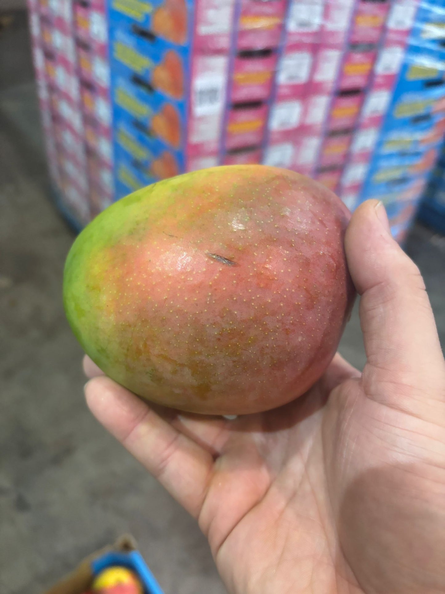 Mango R2E2