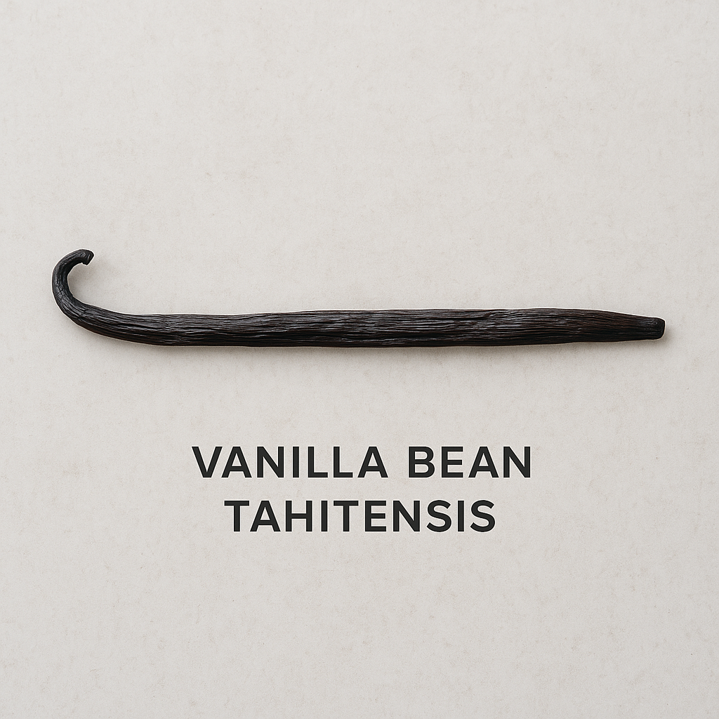 Vanilla Bean
