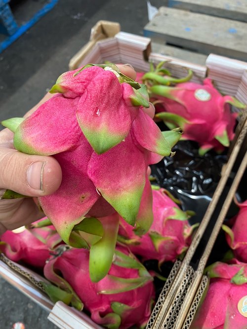 火龍果-白肉(澳洲)5kg