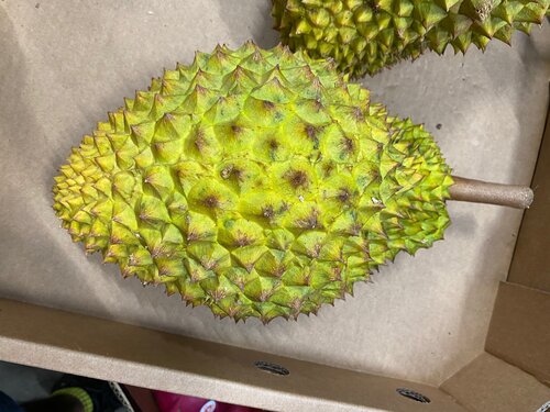 Durian - Mon Thong (Thailand)