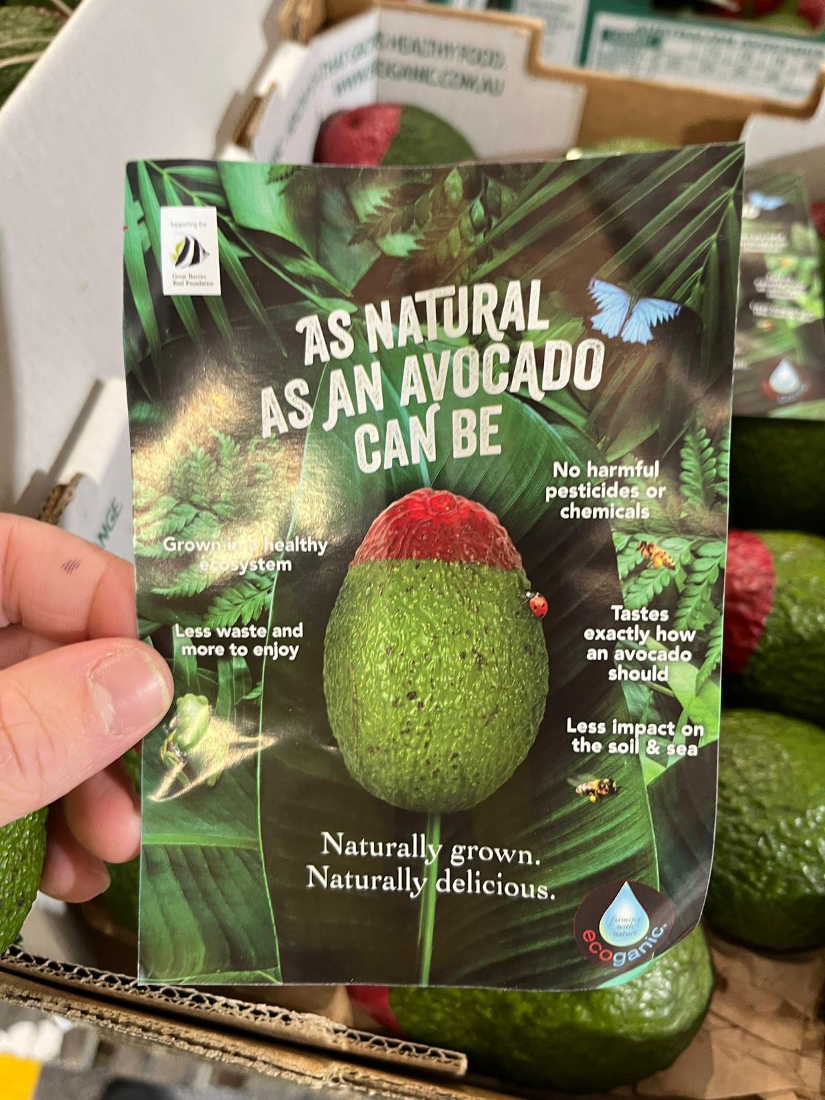 Avocado - Ecoganic Hass