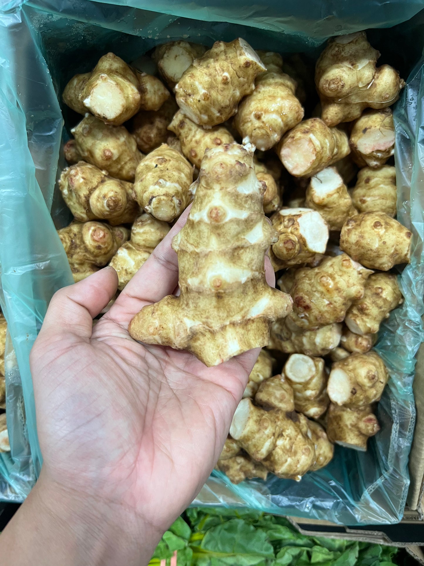 鮮薑(澳洲)- 1kg
