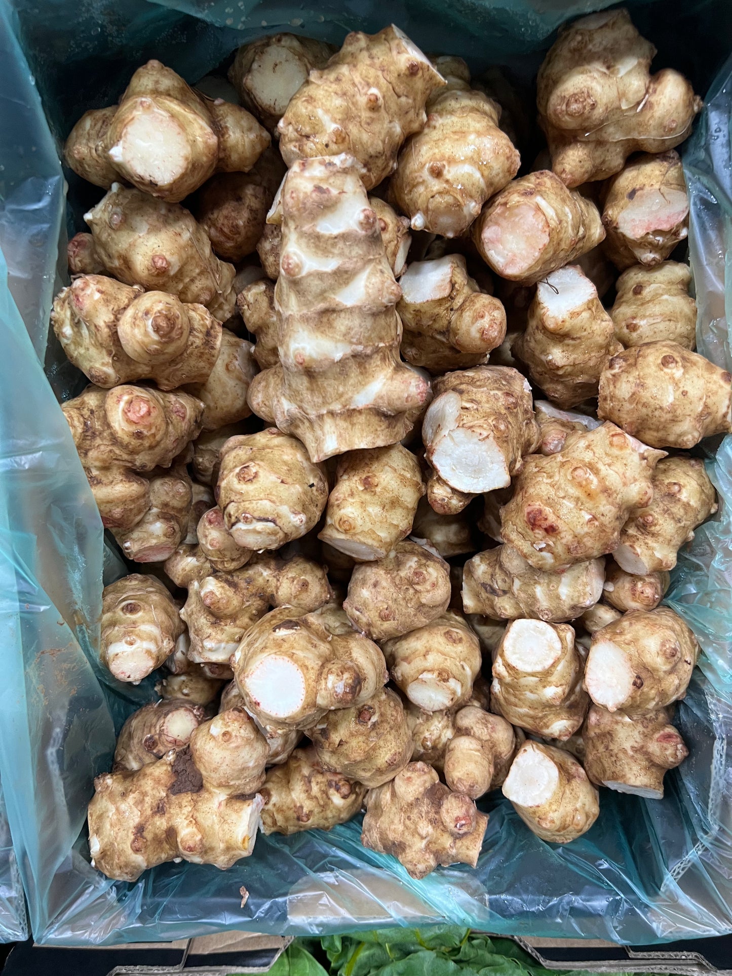 鮮薑(澳洲)- 1kg