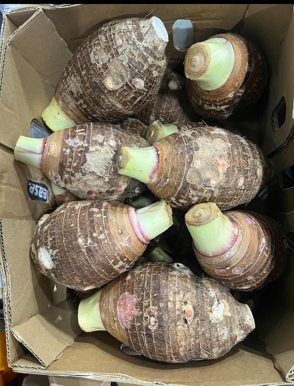 Bánh Khoai Môn Dài - 15kg