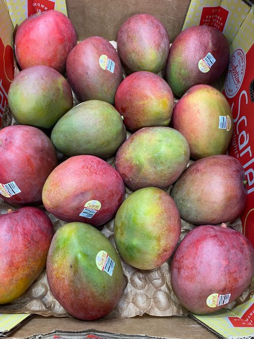 Xoài Scarlet Delight -5kg