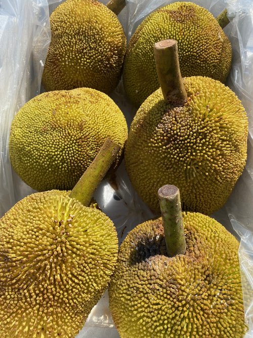 Marang 6kg