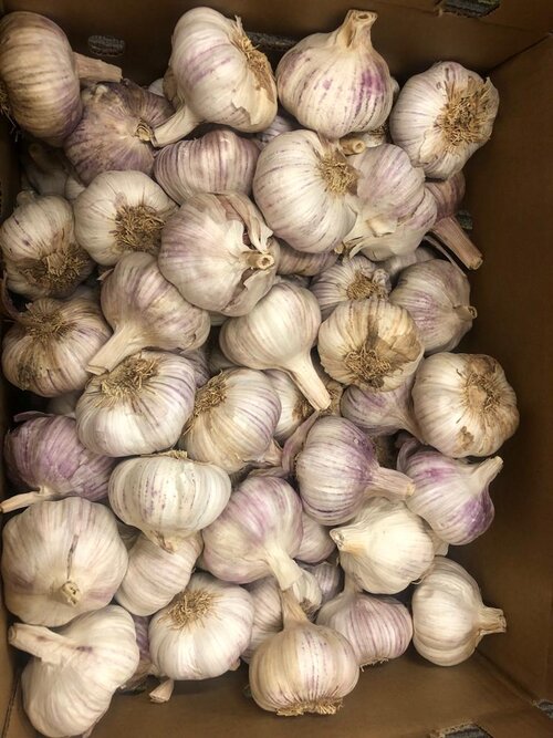 紫蒜 - 1kg (Chilaen)