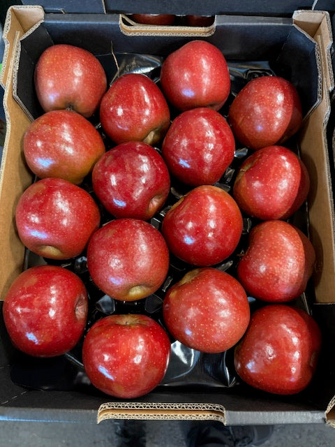蘋果紅月