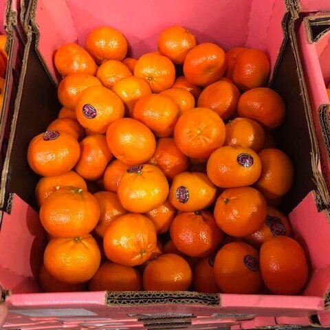 無核阿福柑橘(9KG+)