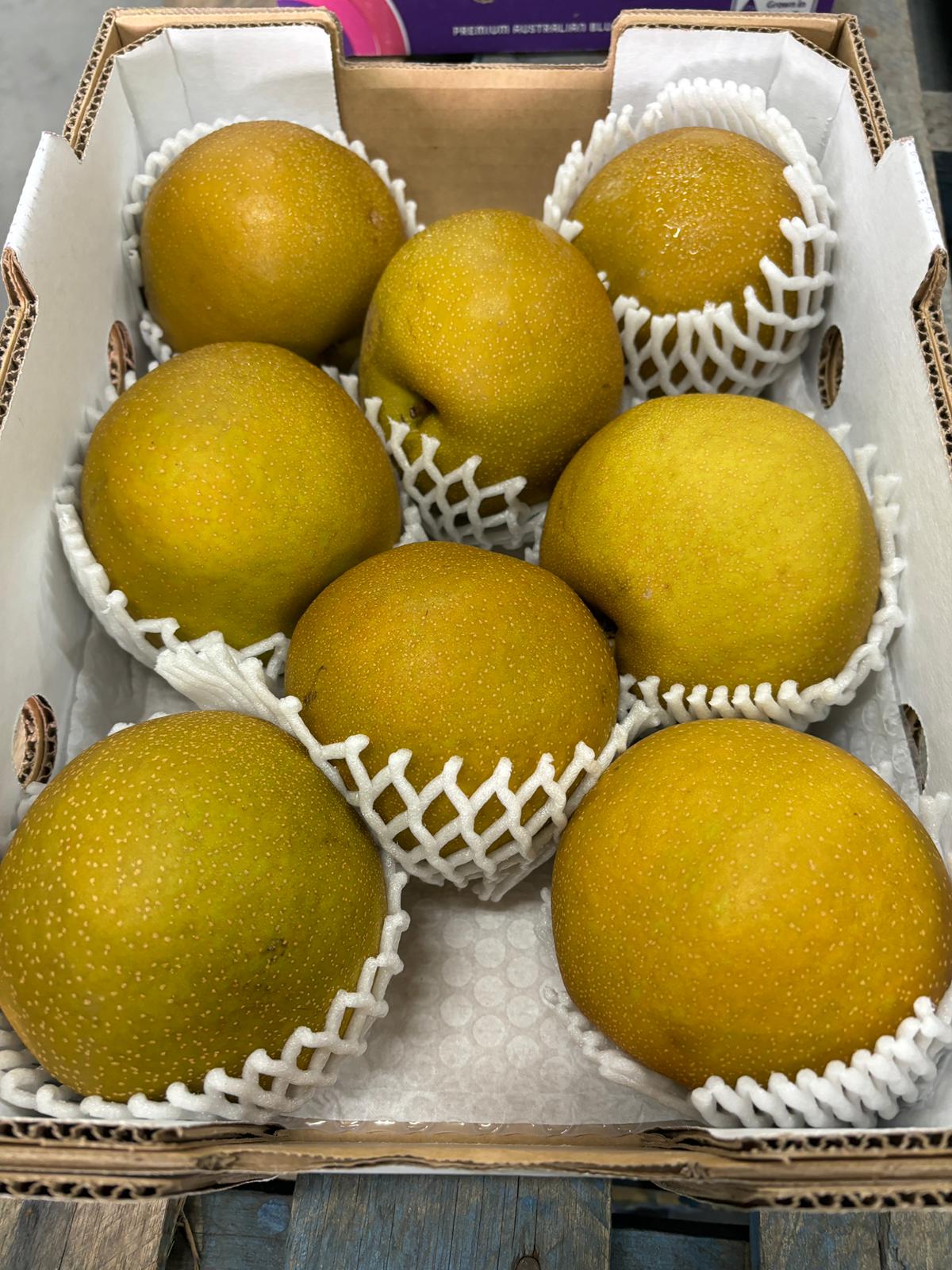 Pear - Shinko Nashi (Australia)