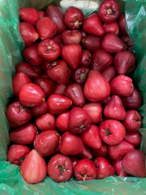 Sáp Jambu - 8kg (CHỈ SEQ)