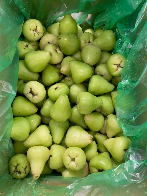 Sáp Jambu - 8kg (CHỈ SEQ)