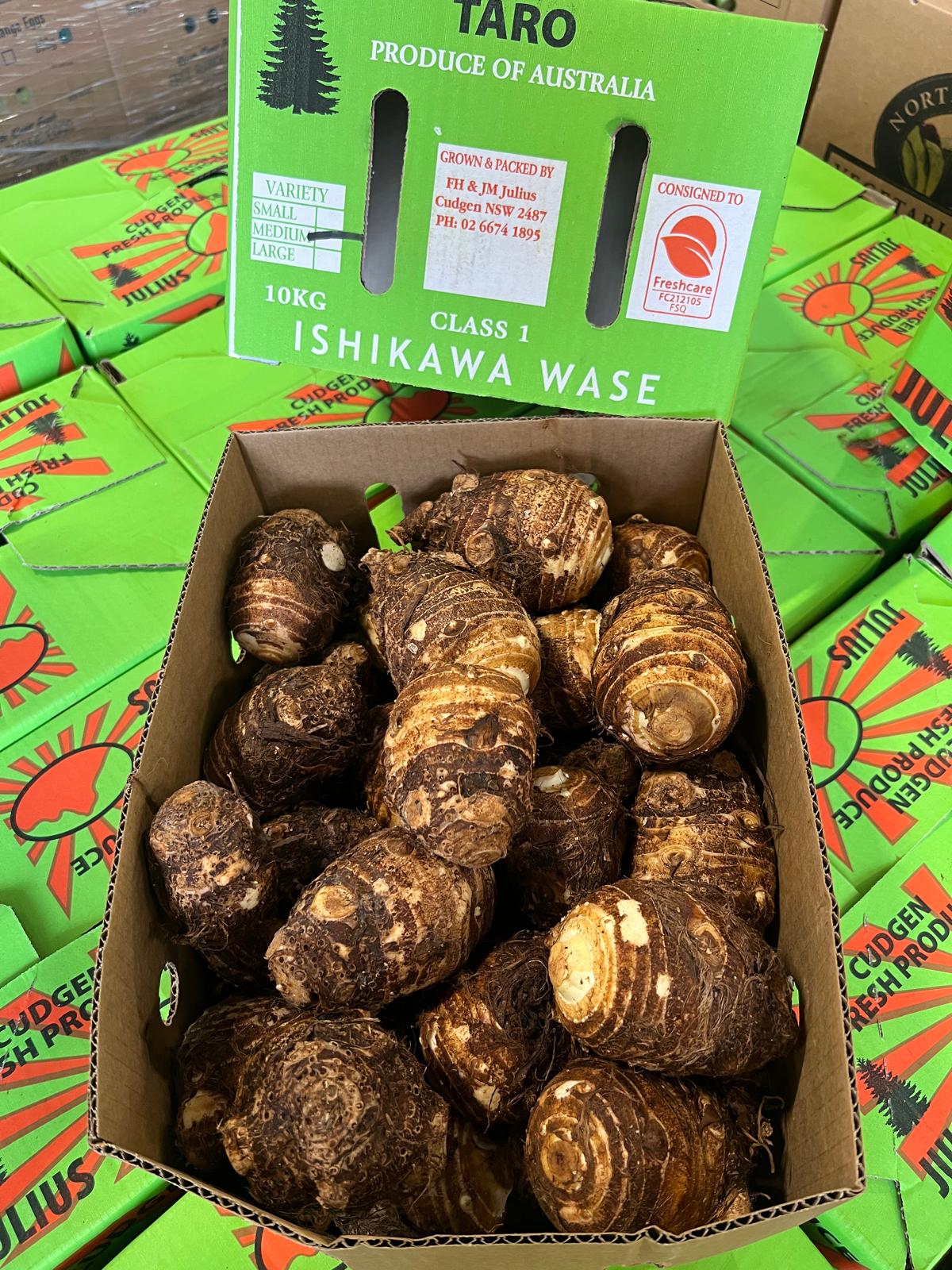 Khoai môn Ishikawa - 10kg