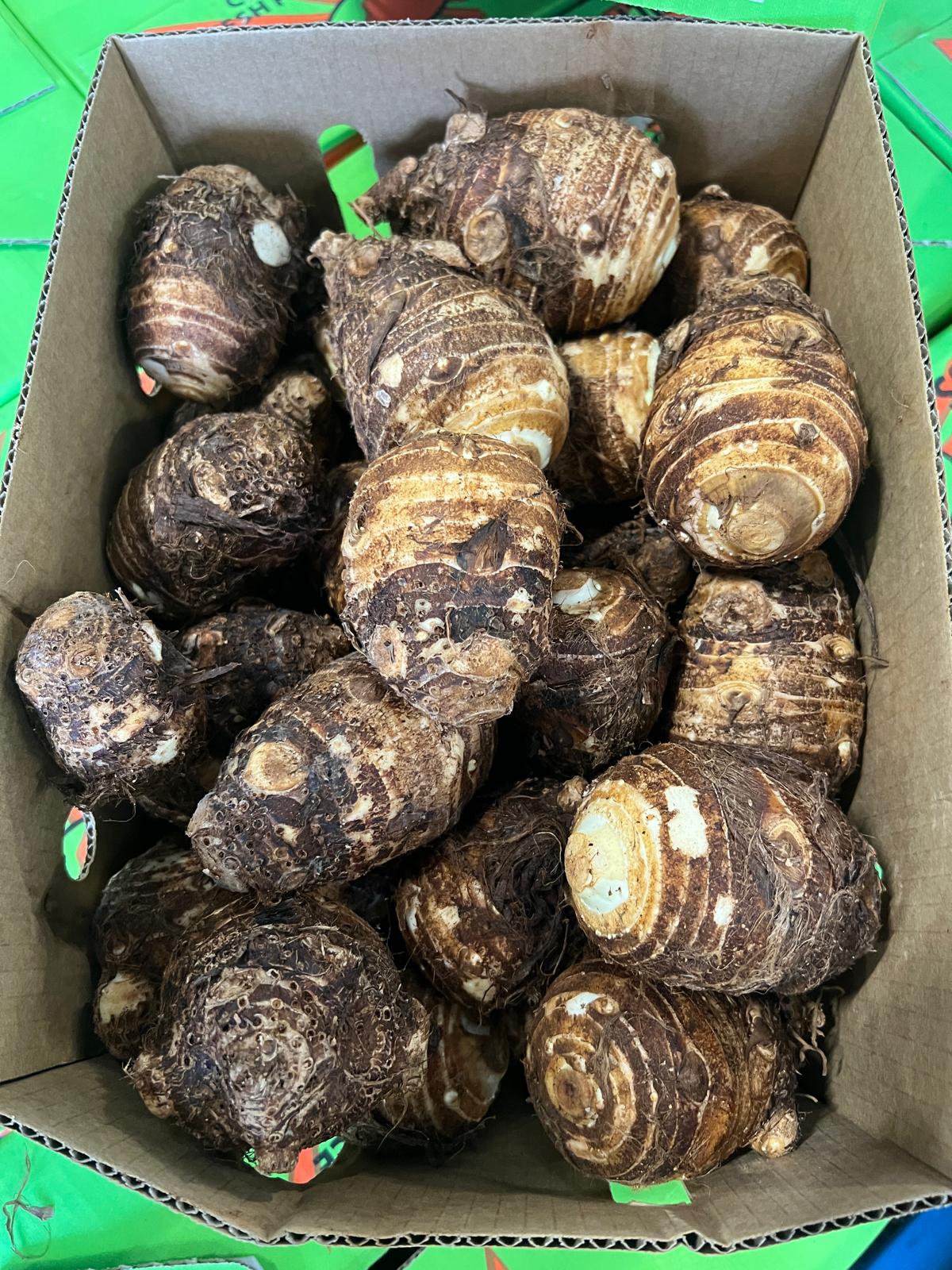 Khoai môn Ishikawa - 10kg