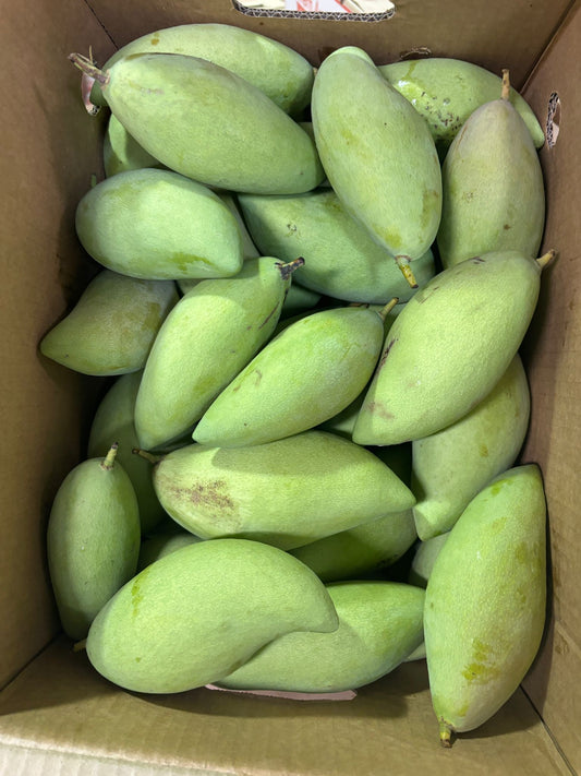Mango -Nam Dok Mai