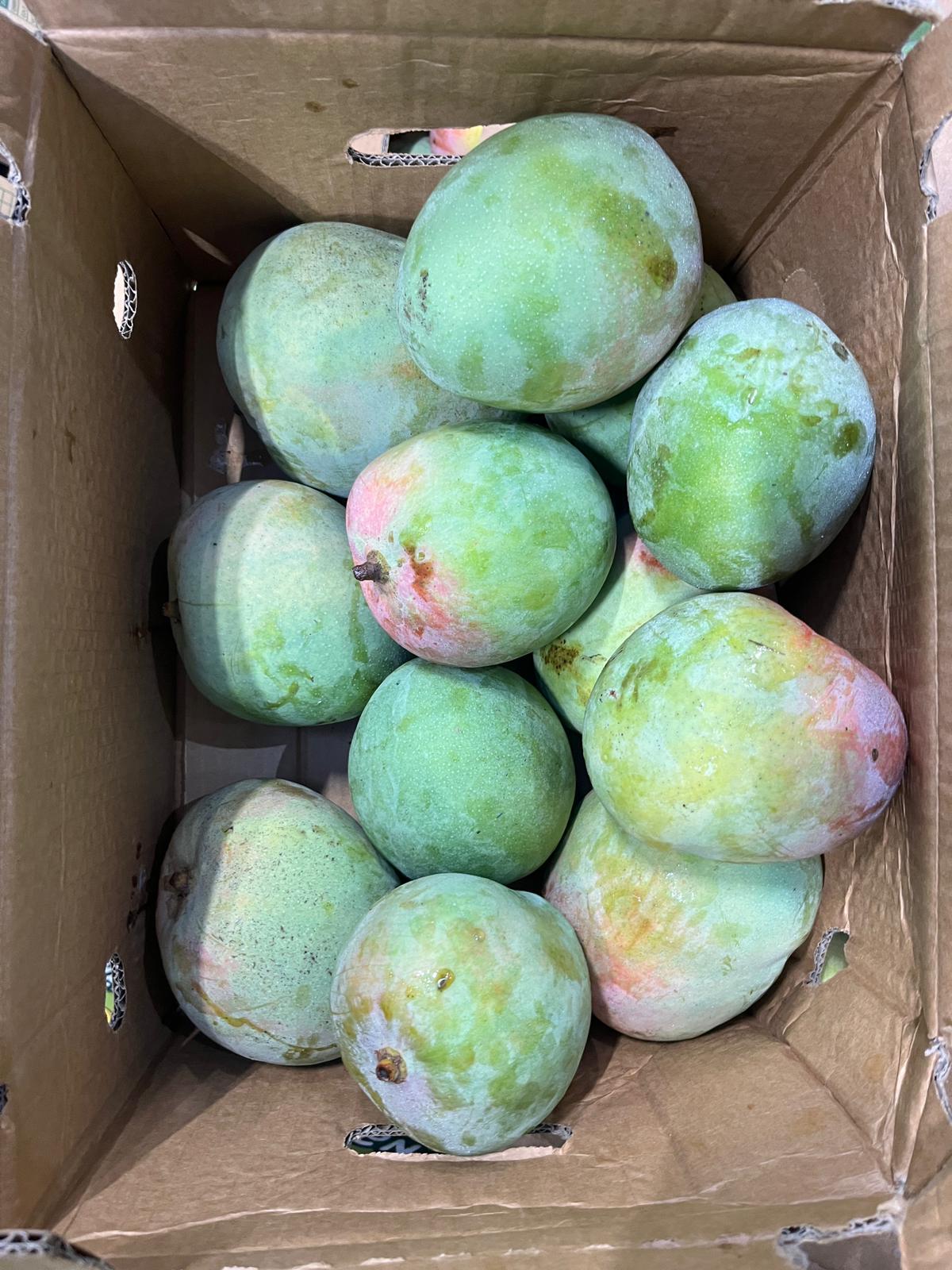 Xoài R2E2 - 10kg Số lượng lớn