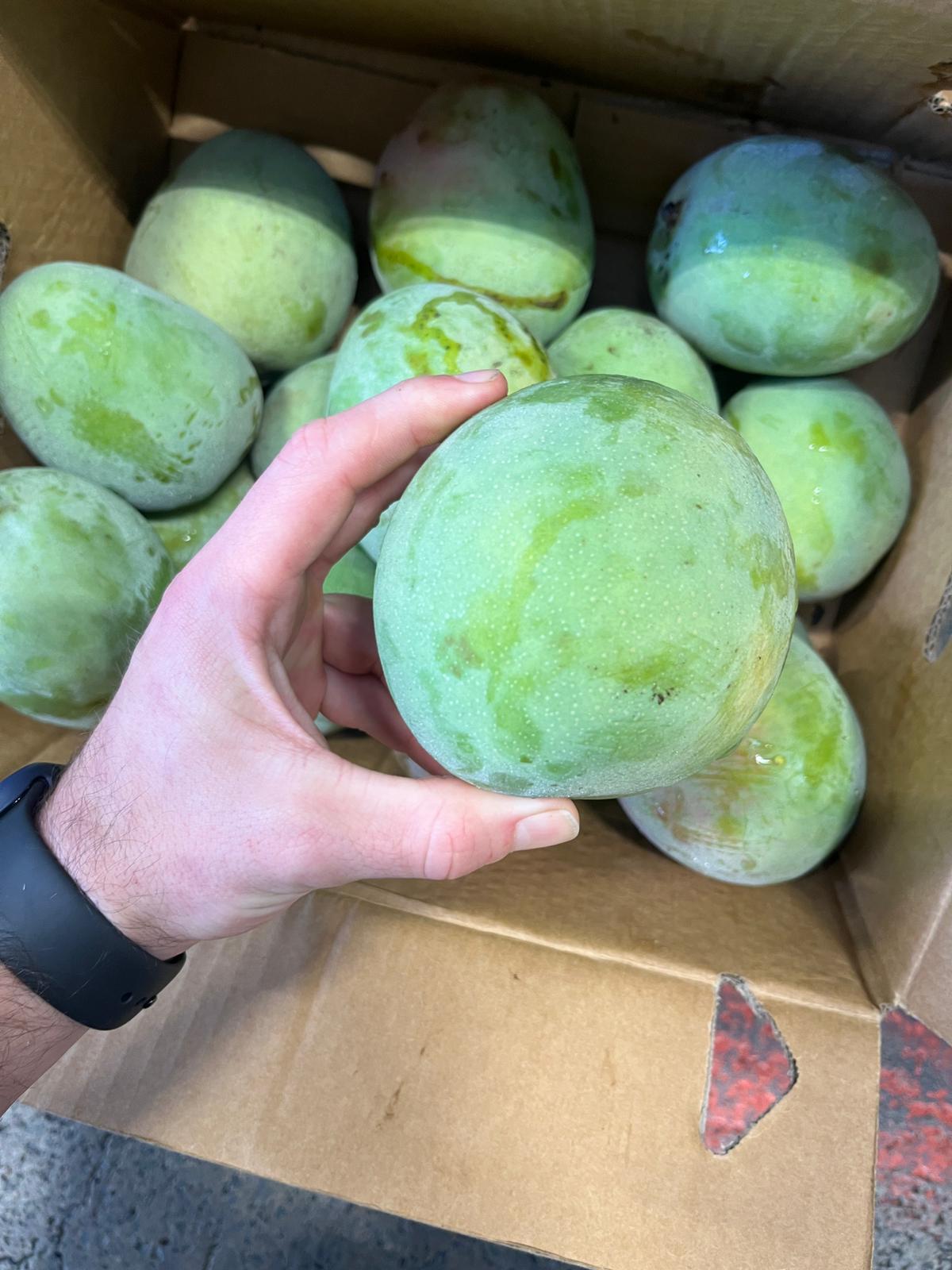 Xoài R2E2 - 10kg Số lượng lớn
