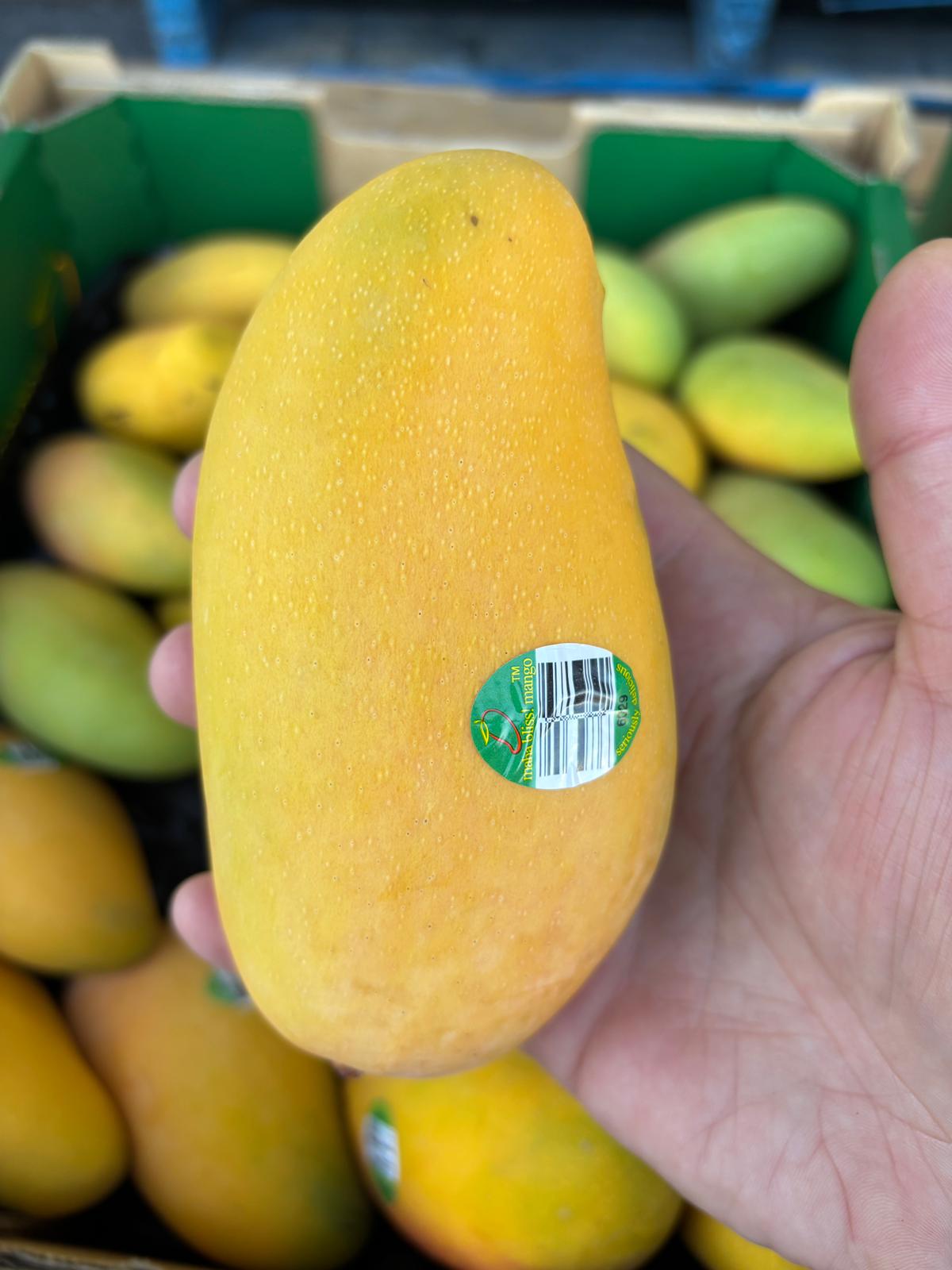 Mango - TPP1