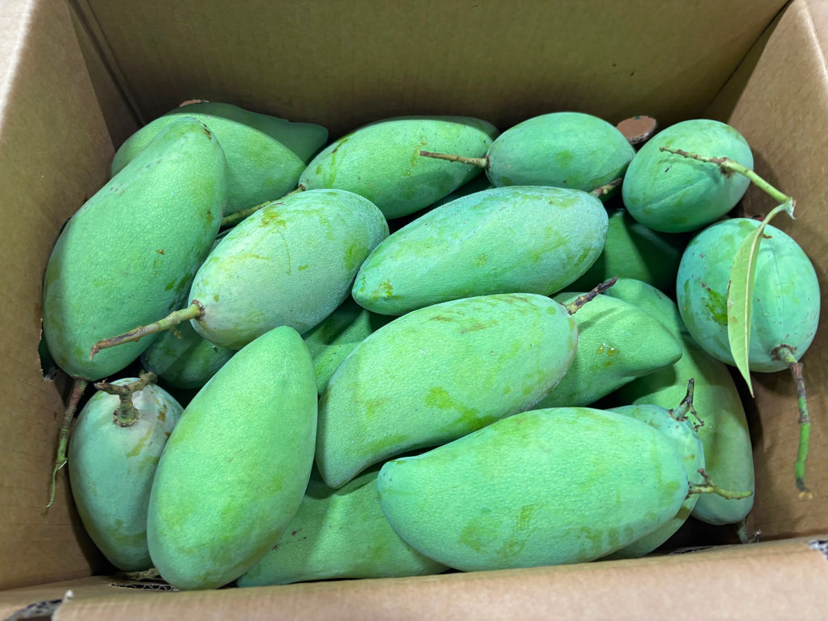 Mango - Nam Dok Mai