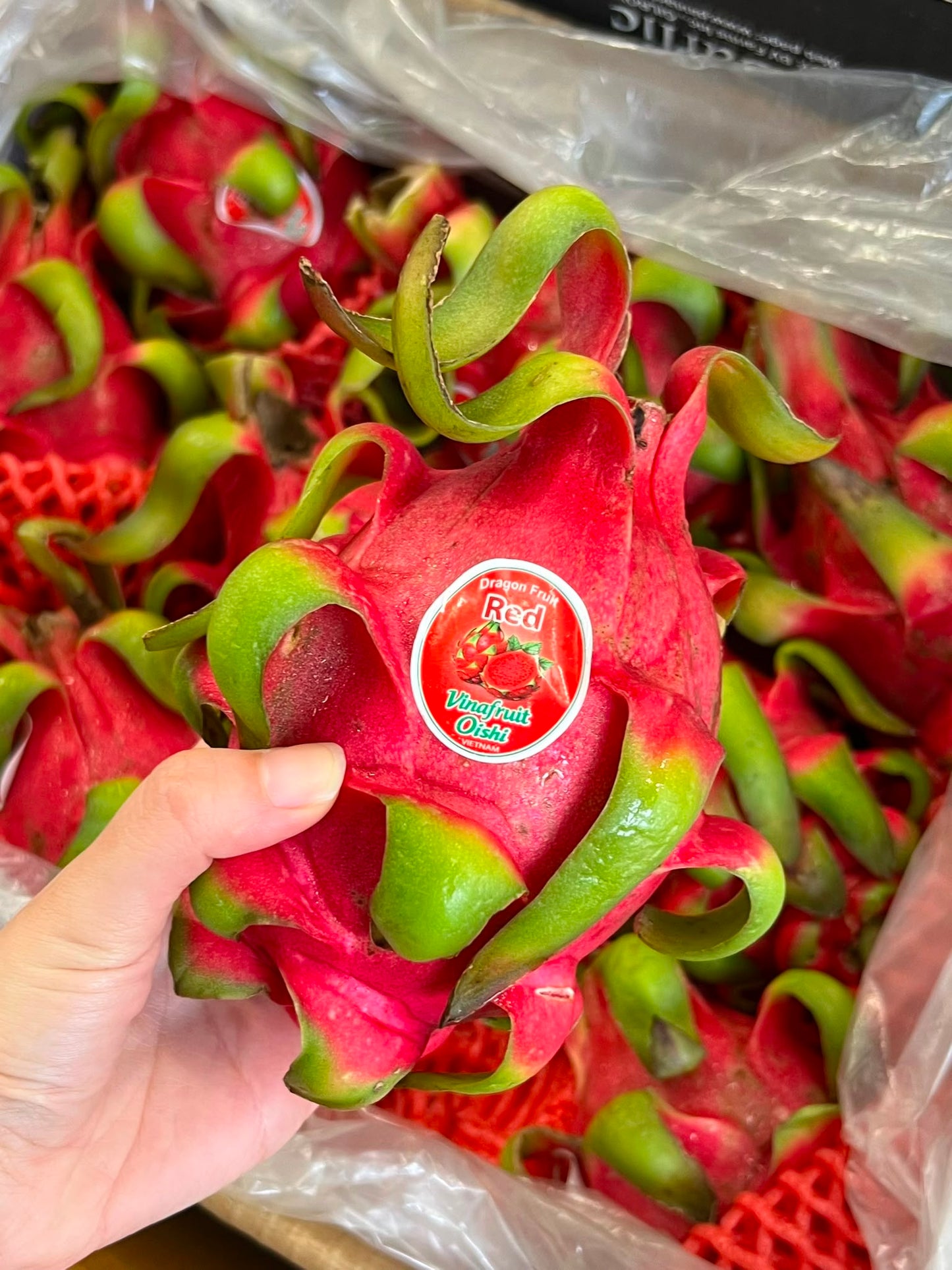 Dragon Fruit - Red Flesh