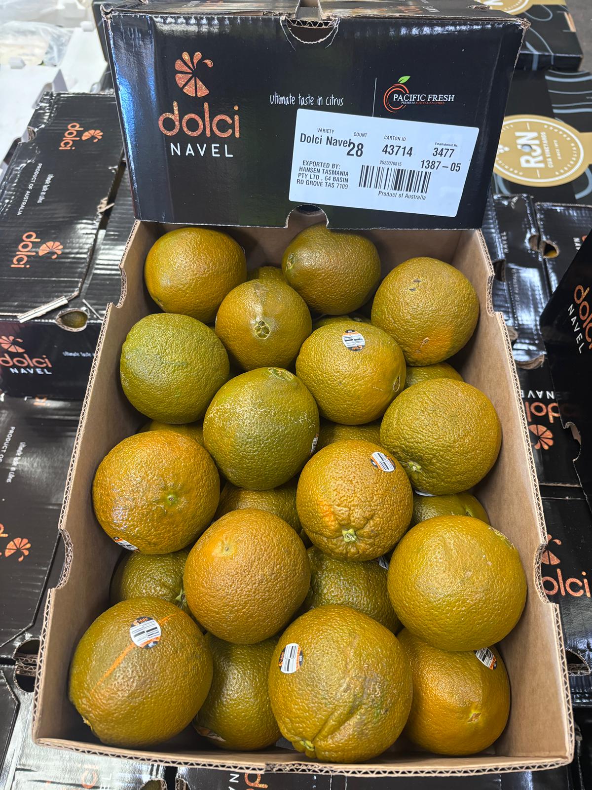 多爾奇肚臍