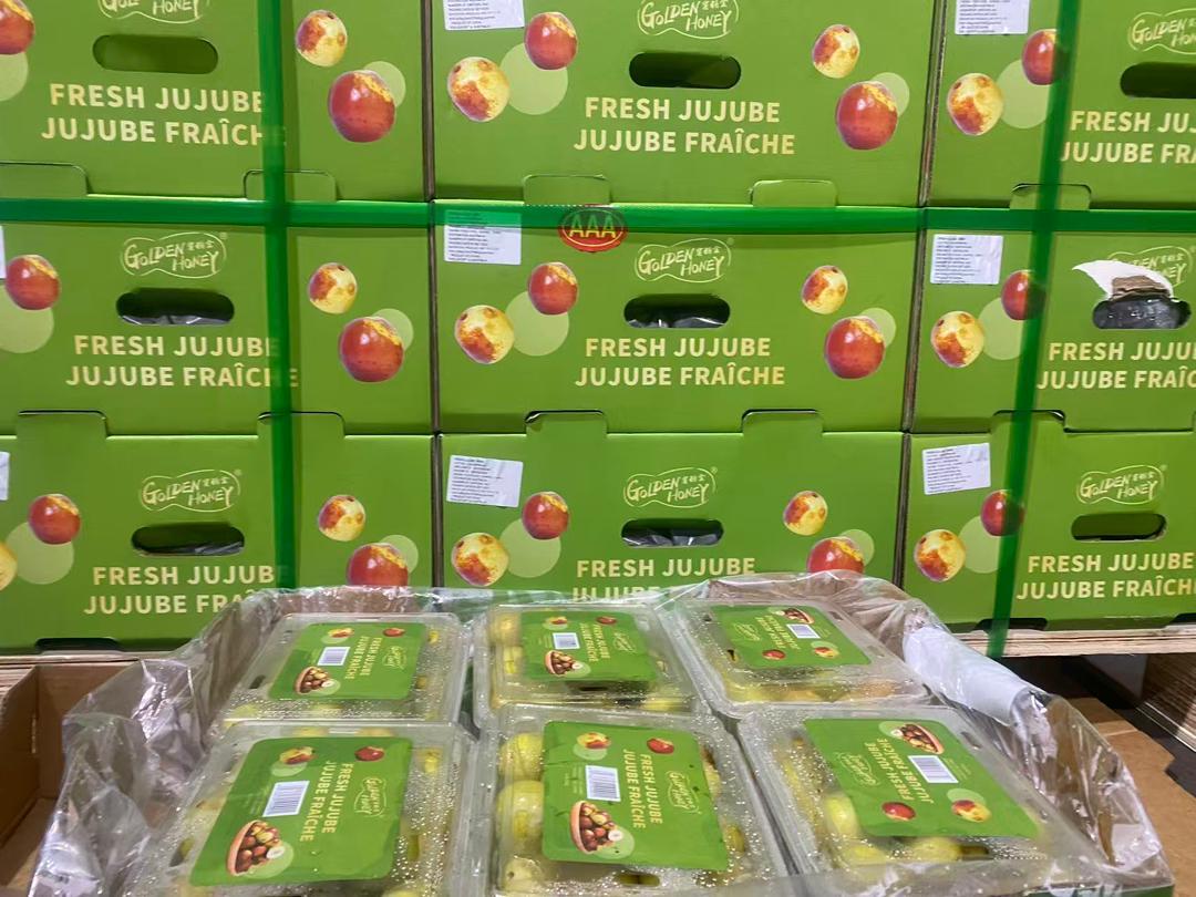 Fresh Jujube (Red Date)