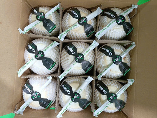 Drinking Coconut - Easy Open with Bamboo Straw