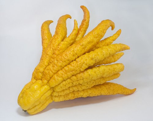 Buddha Hand