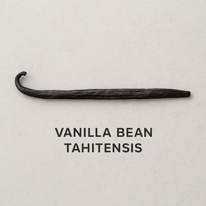Vanilla Bean