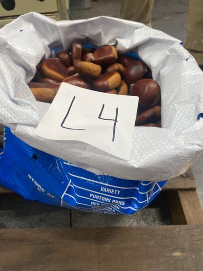Hạt dẻ - 10kg