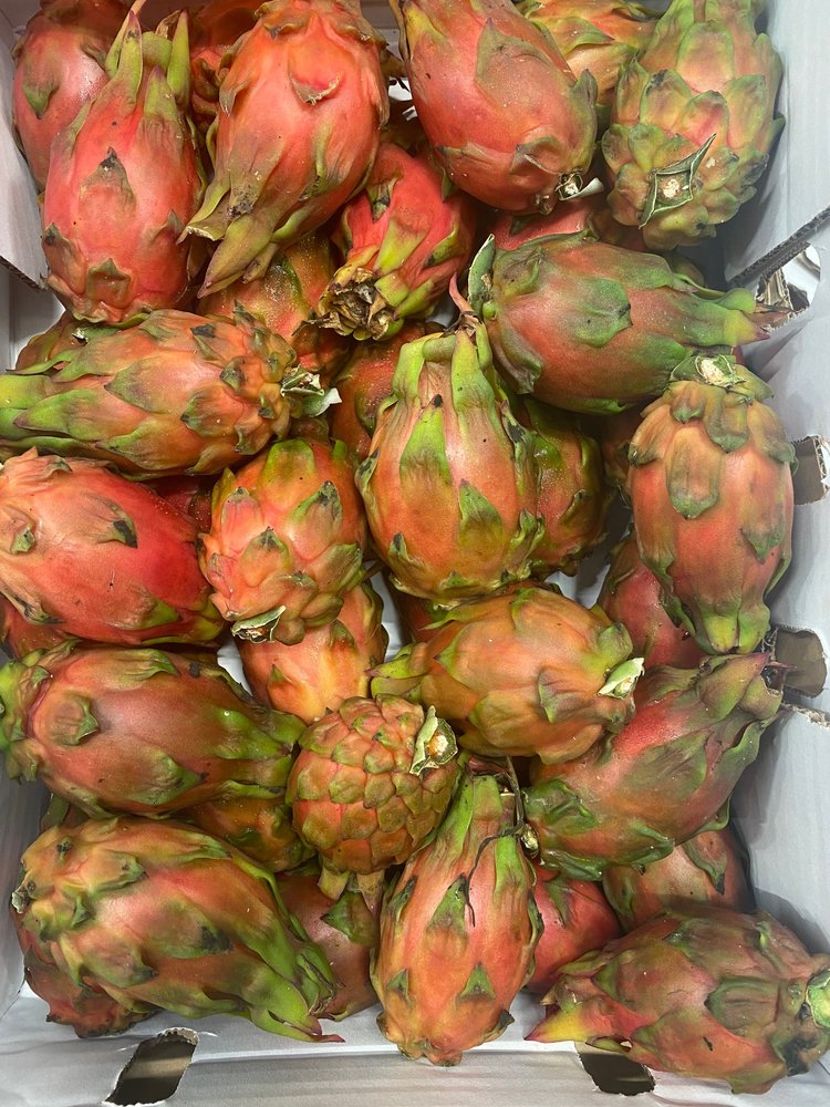 Dragon Fruit - Pink Pearl Sugar Dragon