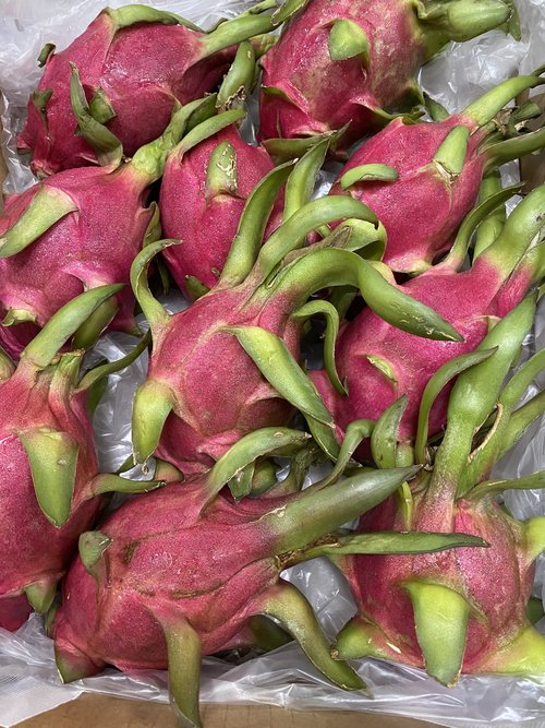 Dragon Fruit - White Flesh (Vietnam)