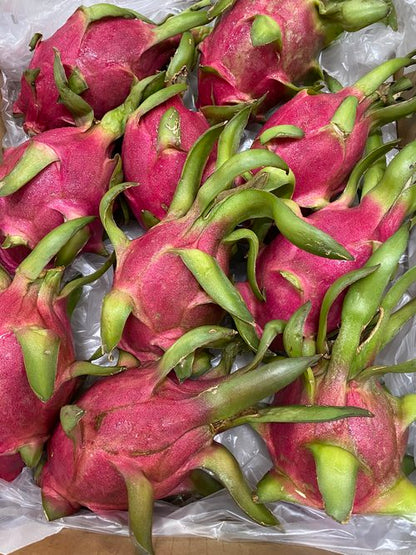 Dragon Fruit - White Flesh (Vietnam)