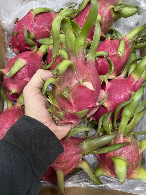 Dragon Fruit - White Flesh (Vietnam)