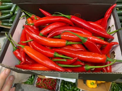 Chilli - Red chilli pepper - Red Cayenne - Mild to Medium (Australia)