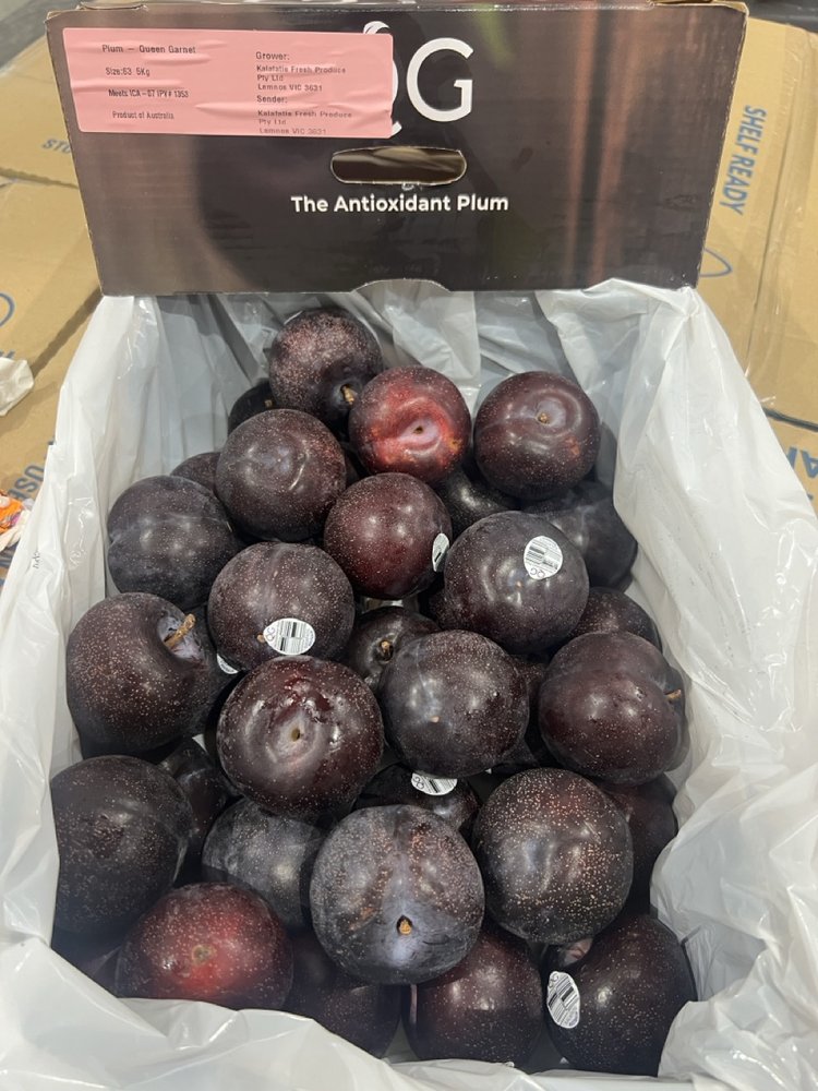 Plum - Queen Garnet (The antioxidant plum) - 4.5kg