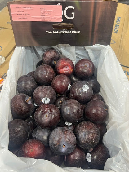 Plum - Queen Garnet (The antioxidant plum) - 4.5kg