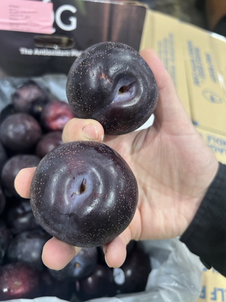 Plum - Queen Garnet (The antioxidant plum) - 4.5kg