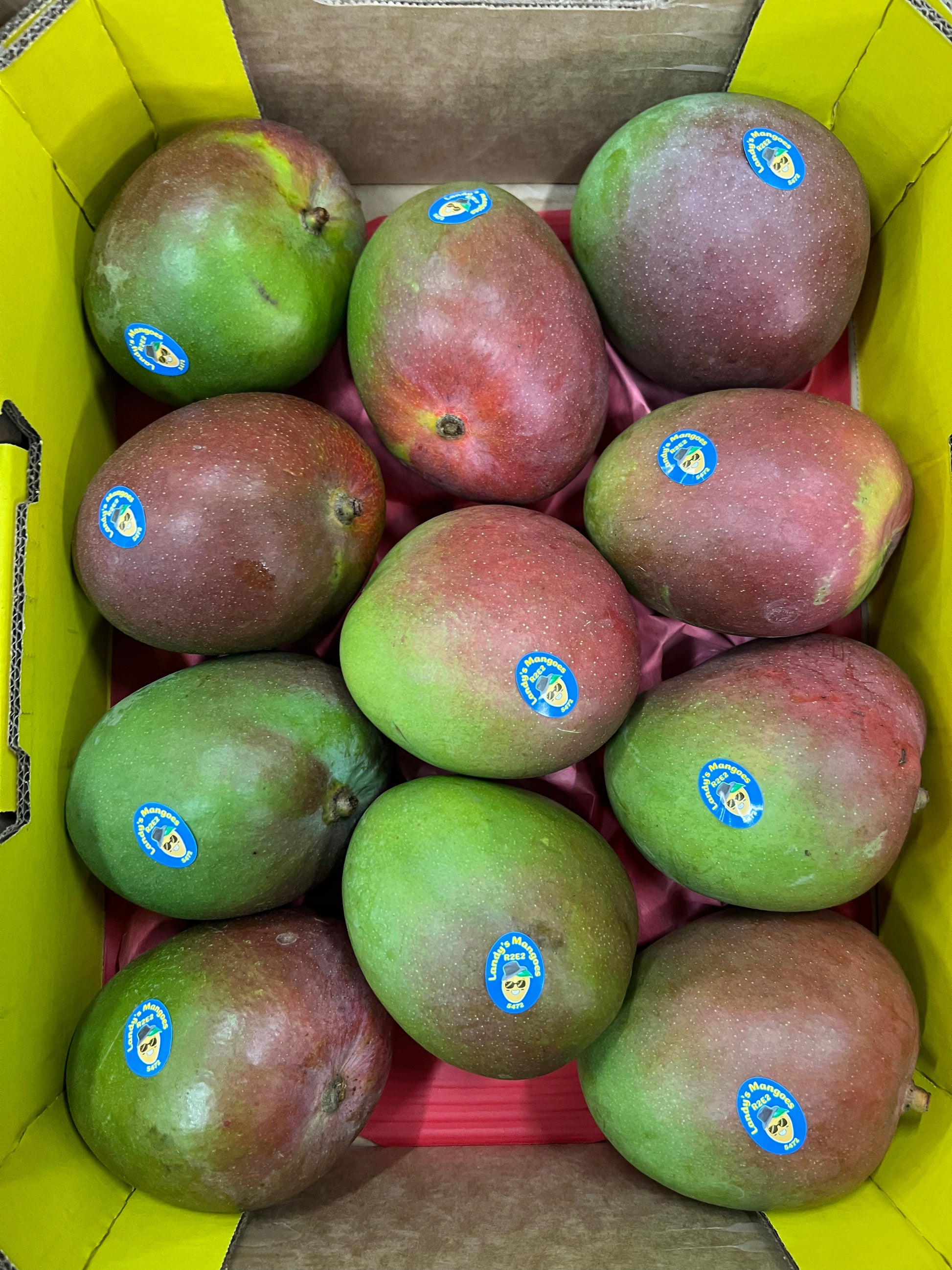 Fr Mango R2e2 Mango R2E2 (Landy's Mango) Premium Tray – Produce Art