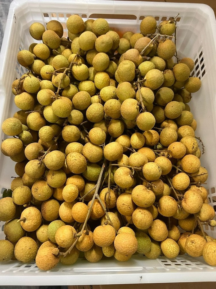 Nhãn - 8kg