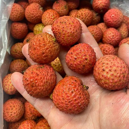 Lychee's - Kwai Mai Pink (B3)  - 5kg box