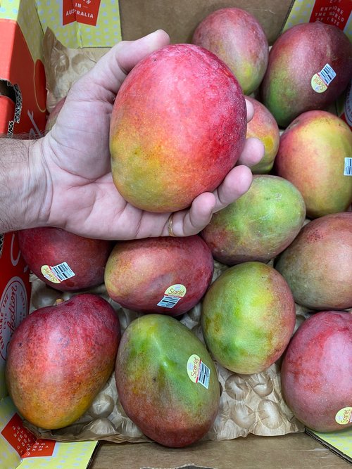 Mango - Scarlet Delight – Produce Art