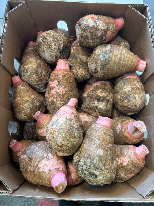 芋頭包子-長 - 15kg 