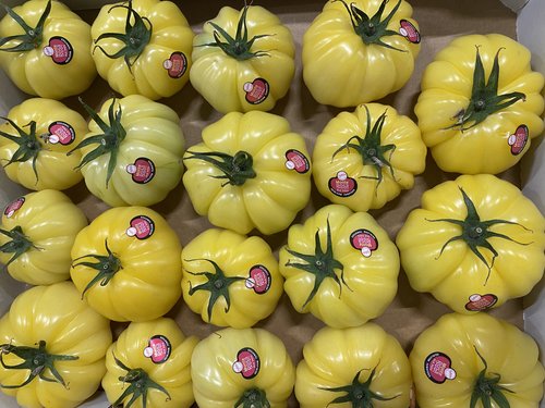 Cà chua Heirloom - 3,5kg