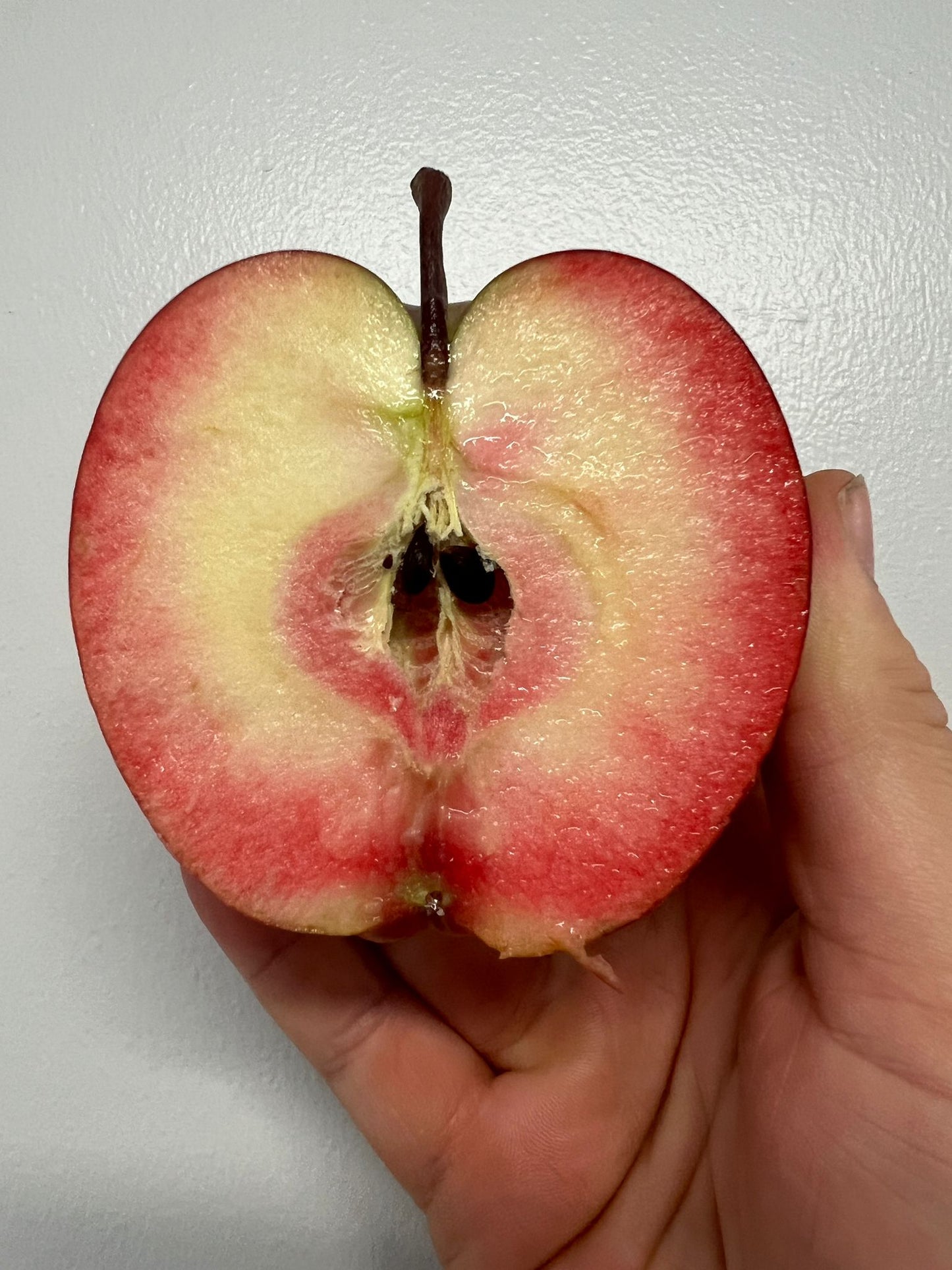 Apple - Kissabel