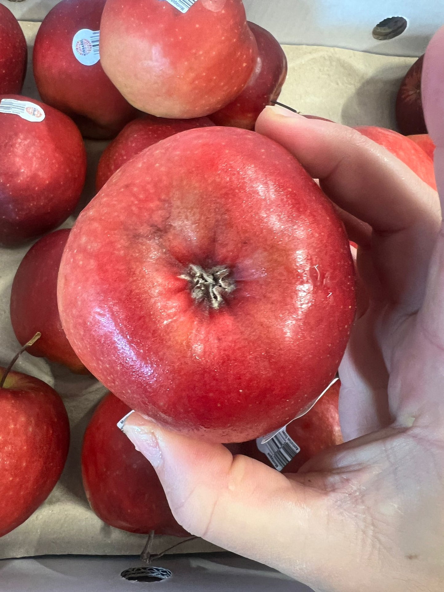 Apple - Kissabel