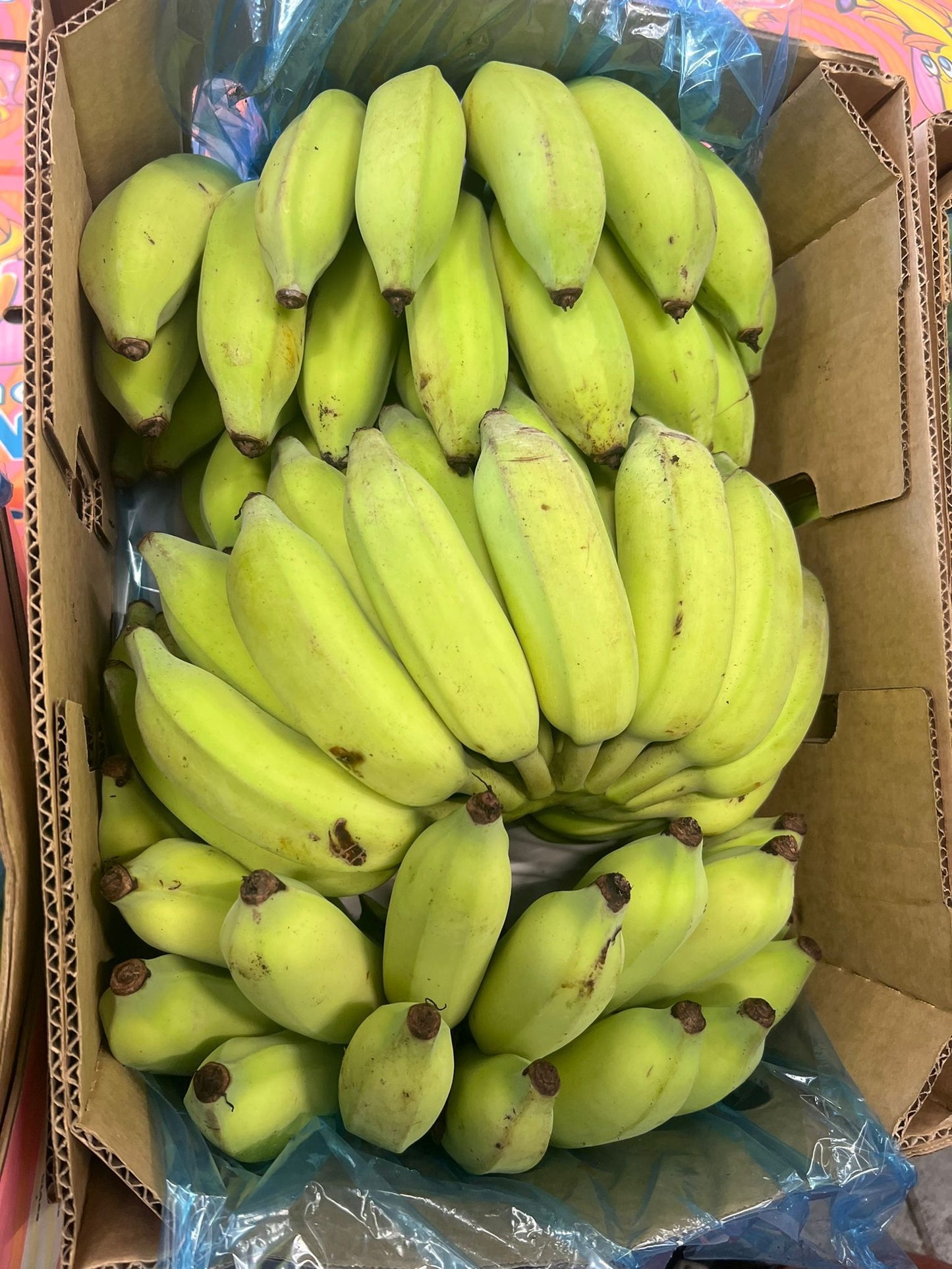Christmas Biscuits That Keep Well Christmas Biscuits That Keep Well