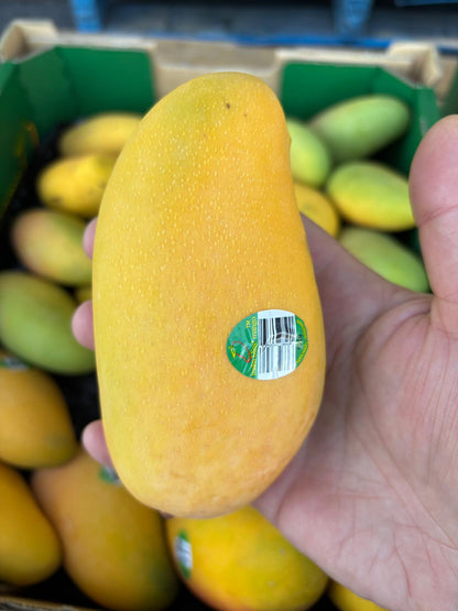 Mango - TPP1