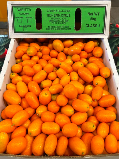 Cumquat - Nagami