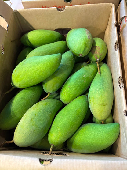 Mango - Falan